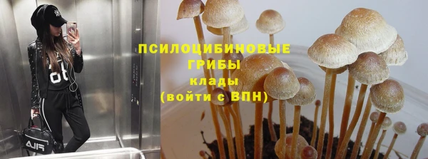 PSILOCYBIN Алексеевка