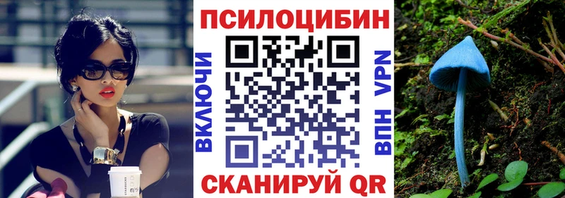 Купить  Волжский  Псилоцибиновые грибы Magic Shrooms 